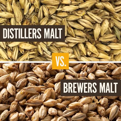 malt vs barley